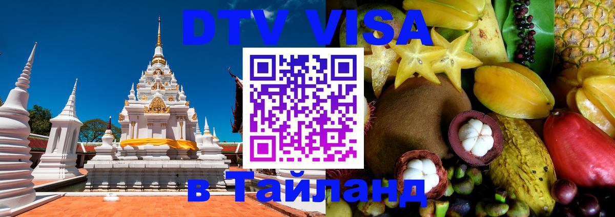 Сколько стоит DTV виза — актуальные цены, оформление даже без документов - 19.11.2025 